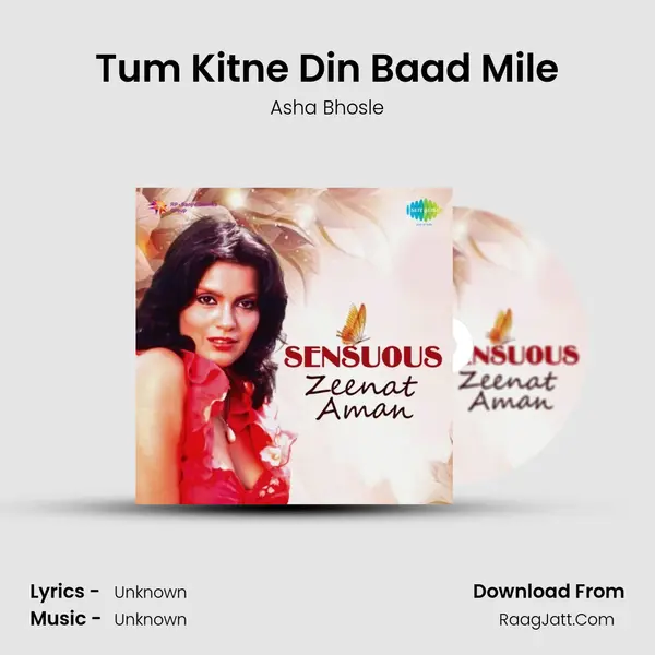 Tum Kitne Din Baad Mile Cover