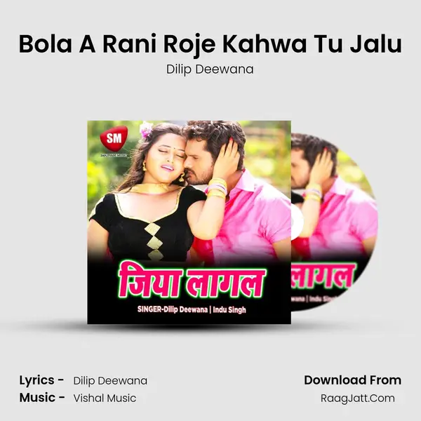 Bola A Rani Roje Kahwa Tu Jalu MP3 Song by Dilip Deewana Cover