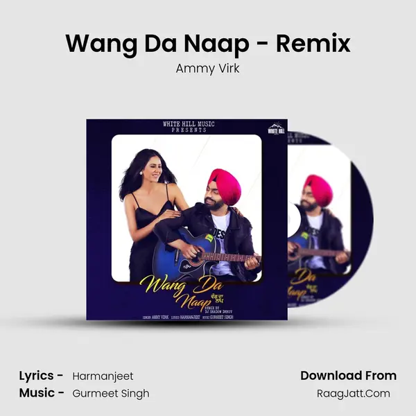 Wang Da Naap - Remix - Ammy Virk