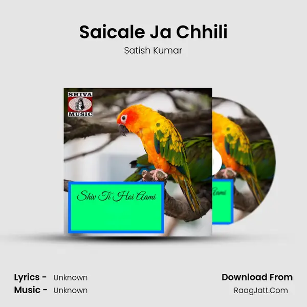 Saicale Ja Chhili MP3 Song by Satish Kumar Cover