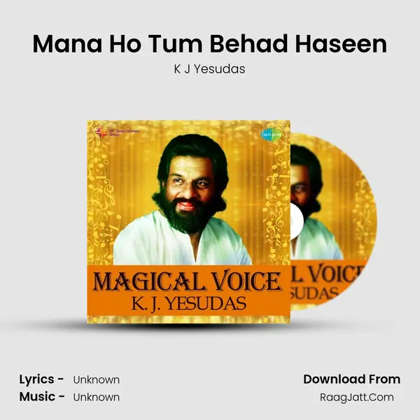 Mana Ho Tum Behad Haseen Cover