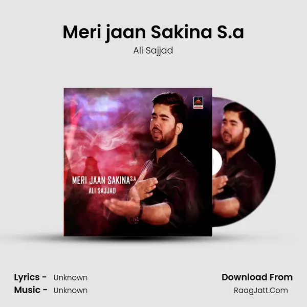 Meri jaan Sakina S.a - Ali Sajjad