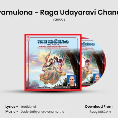 Bhavamulona - Raga Udayaravi Chandrika MP3 Song by various Cover
