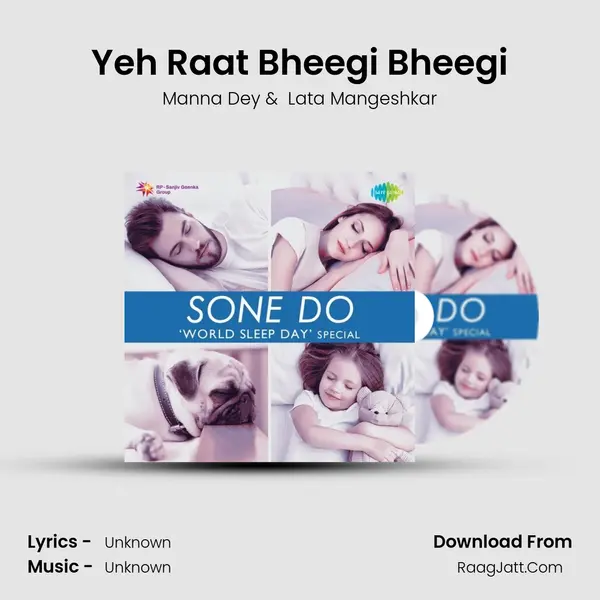 Yeh Raat Bheegi Bheegi Cover