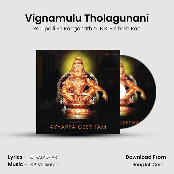 Vignamulu Tholagunani MP3 Song by Parupalli Sri Ranganath Cover