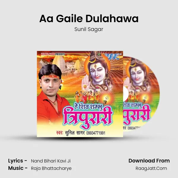Aa Gaile Dulahawa MP3 Song by Sunil Sagar Cover