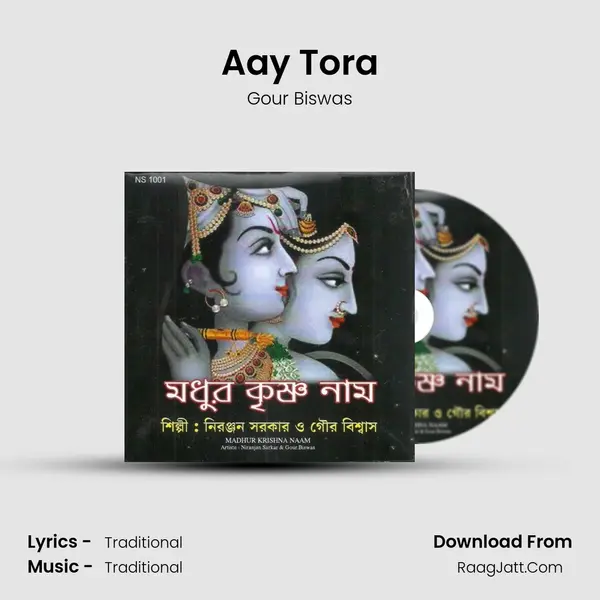 Aay Tora MP3 Song by Gour Biswas Cover