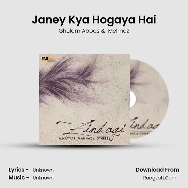 Janey Kya Hogaya Hai MP3 Song by Ghulam Abbas Cover