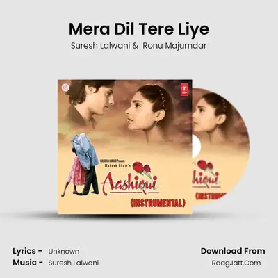 Mera Dil Tere Liye mp3 song