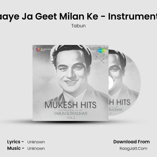 Gaaye Ja Geet Milan Ke - Instrumental MP3 Song by Tabun Cover