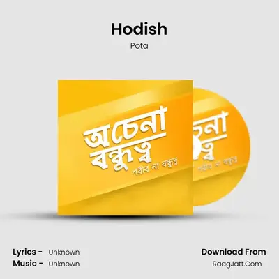 Hodish MP3 Song by Pota Cover