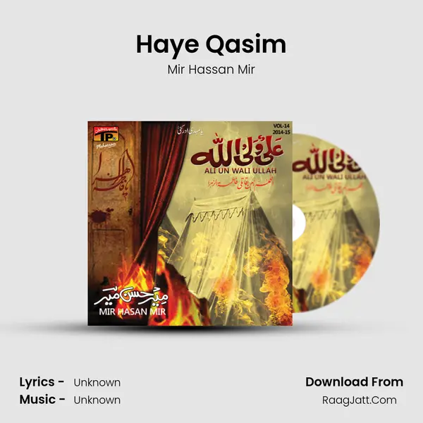 Haye Qasim MP3 Song by Mir Hassan Mir Cover