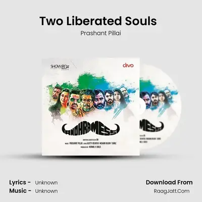 Two Liberated Souls  (Instrumental) MP3 Song by Prashant Pillai Cover