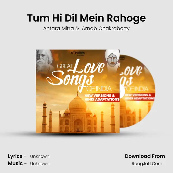 Tum Hi Dil Mein Rahoge Cover