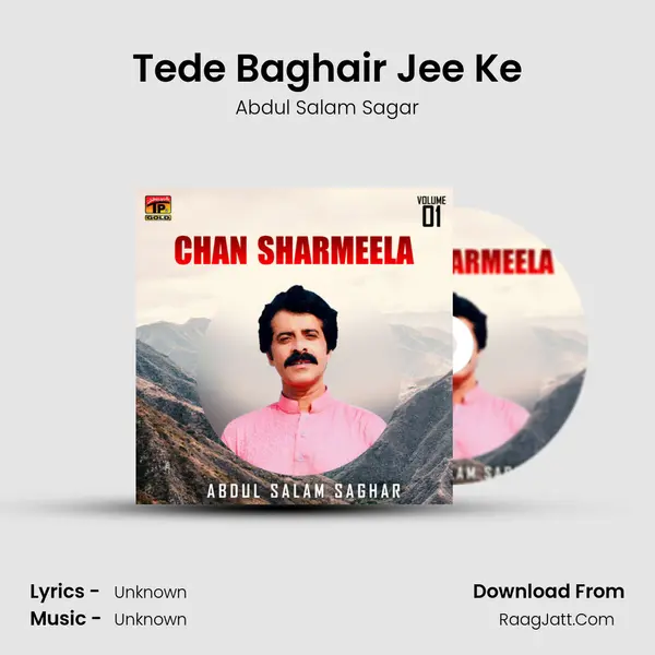 Tede Baghair Jee Ke mp3 song