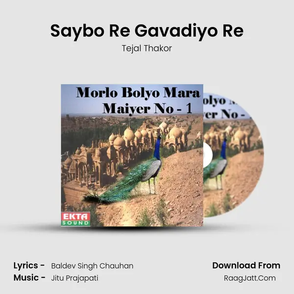 Saybo Re Gavadiyo Re MP3 Song by Tejal Thakor Cover