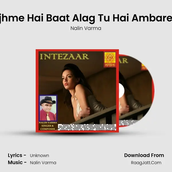 Tujhme Hai Baat Alag Tu Hai Ambareen Cover