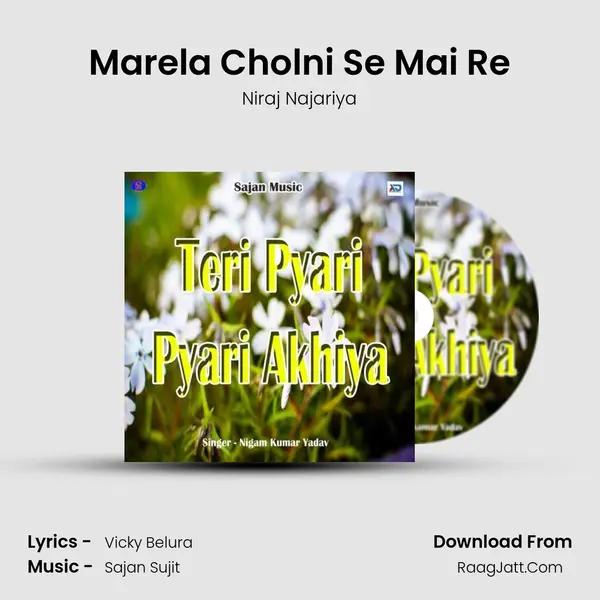 Marela Cholni Se Mai Re MP3 Song by Niraj Najariya Cover