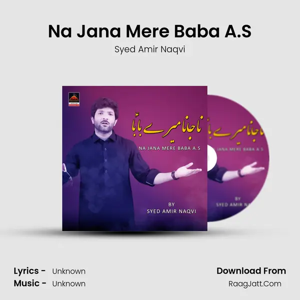 Na Jana Mere Baba A.S MP3 Song by Syed Amir Naqvi Cover