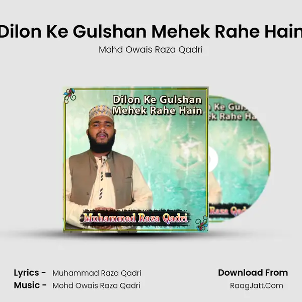 Dilon Ke Gulshan Mehek Rahe Hain mp3 song