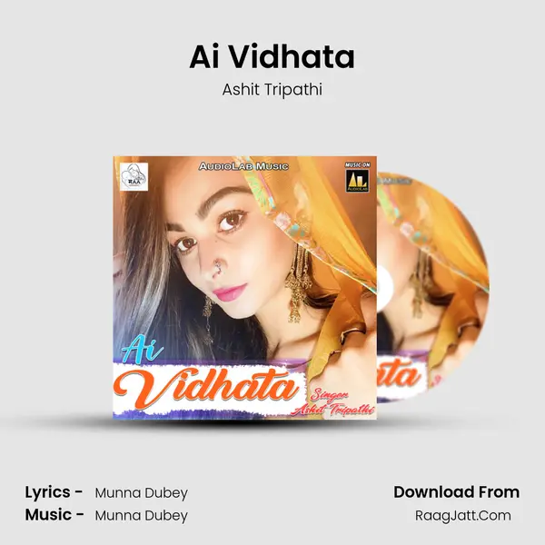 Ai Vidhata MP3 Song by Ashit Tripathi Cover