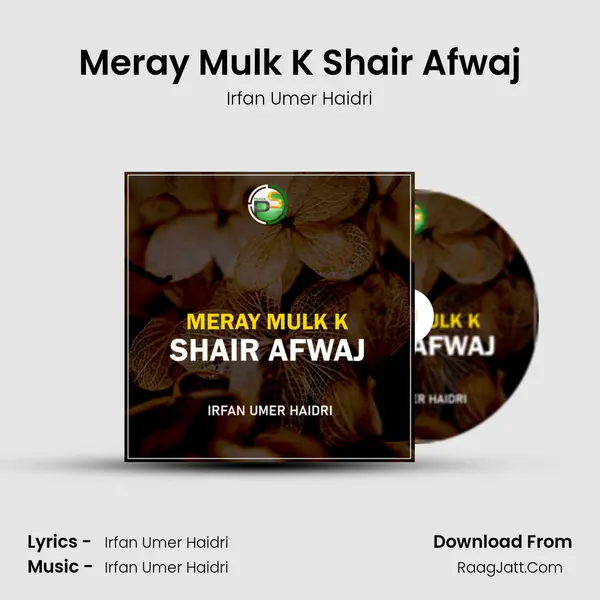 Meray Mulk K Shair Afwaj mp3 song