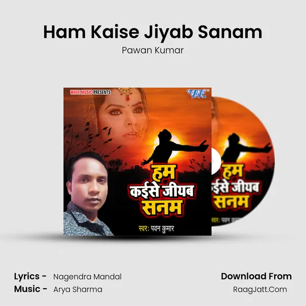 Ham Kaise Jiyab Sanam Cover