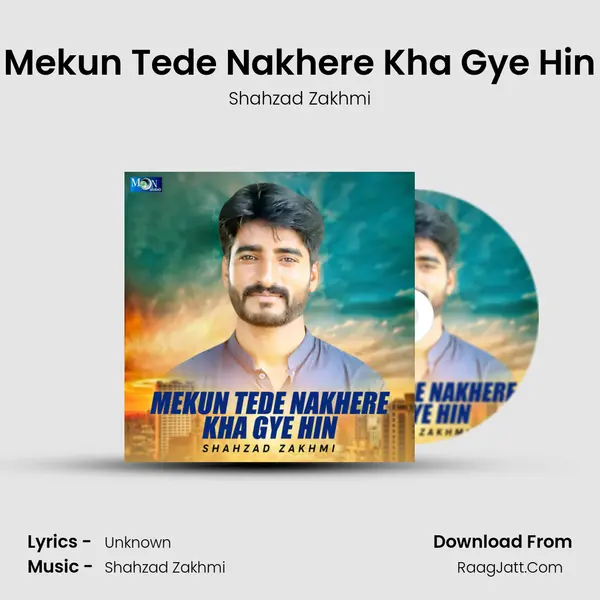 Mekun Tede Nakhere Kha Gye Hin Cover