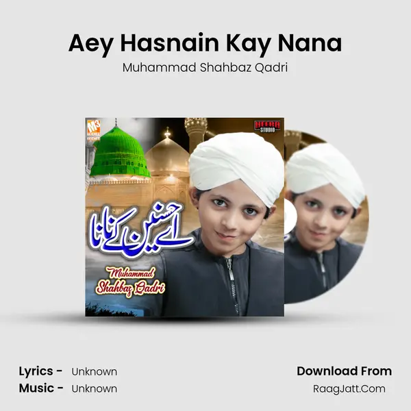Aey Hasnain Kay Nana - Single - 