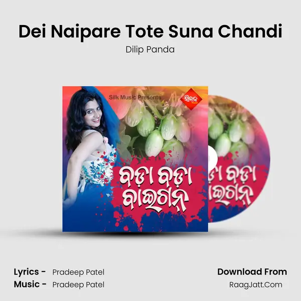 Dei Naipare Tote Suna Chandi MP3 Song by Dilip Panda Cover