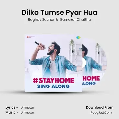 Dilko Tumse Pyar Hua Cover