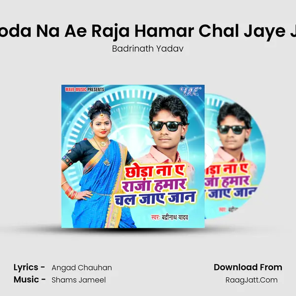 Chhoda Na Ae Raja Hamar Chal Jaye Jaan MP3 Song by Badrinath Yadav Cover