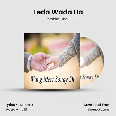 Teda Wada Ha MP3 Song by Ibrahim Ghori Cover