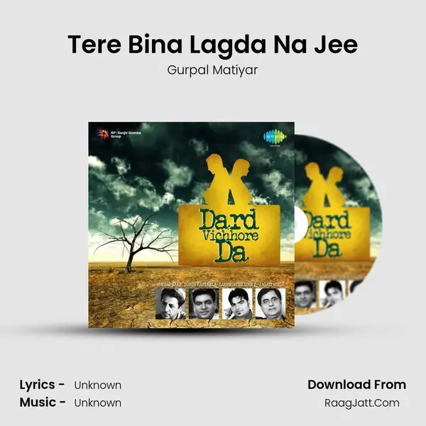 Tere Bina Lagda Na Jee Cover