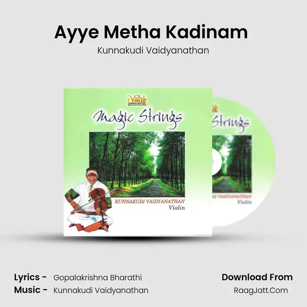 Ayye Metha Kadinam (Nandan Charitharam) MP3 Song by Kunnakudi Vaidyanathan Cover
