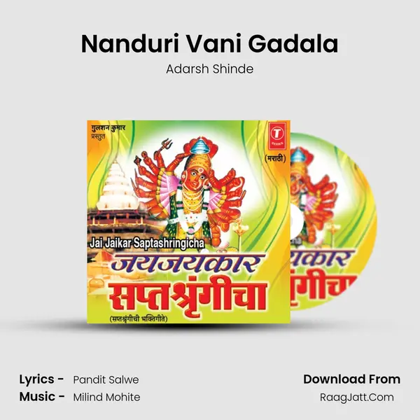Nanduri Vani Gadala MP3 Song by Adarsh Shinde Cover