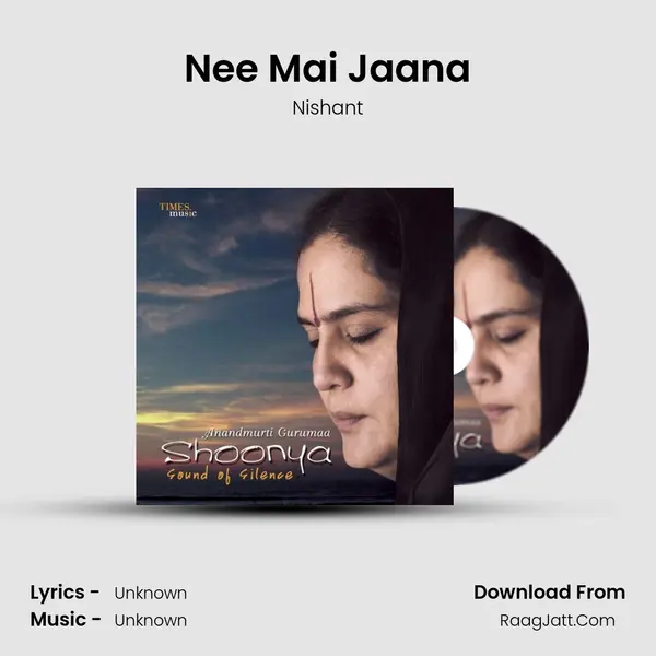Nee Mai Jaana MP3 Song by Nishant Cover