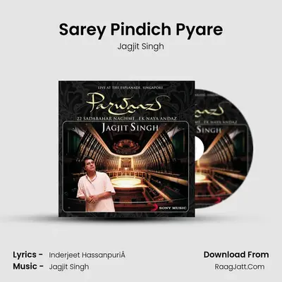 Sarey Pindich Pyare MP3 Song by Jagjit Singh Cover