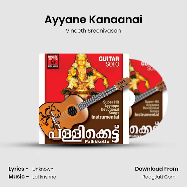 Ayyane Kanaanai MP3 Song by Vineeth Sreenivasan Cover