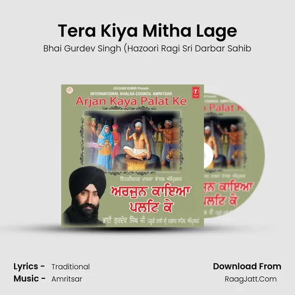 Tera Kiya Mitha Lage mp3 song