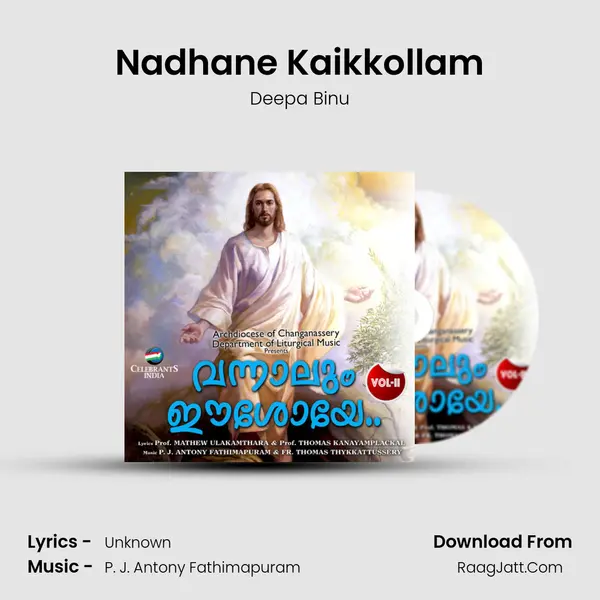 Nadhane Kaikkollam MP3 Song by Deepa Binu Cover