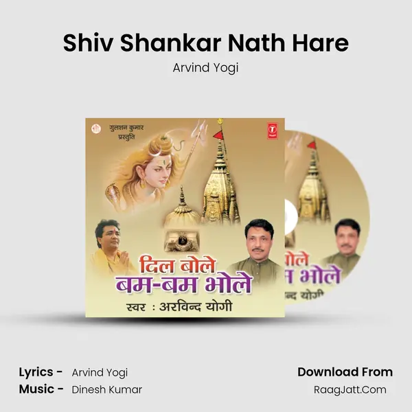 Shiv Shankar Nath Hare mp3 song