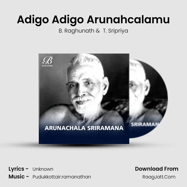 Adigo Adigo Arunahcalamu MP3 Song by B. Raghunath Cover