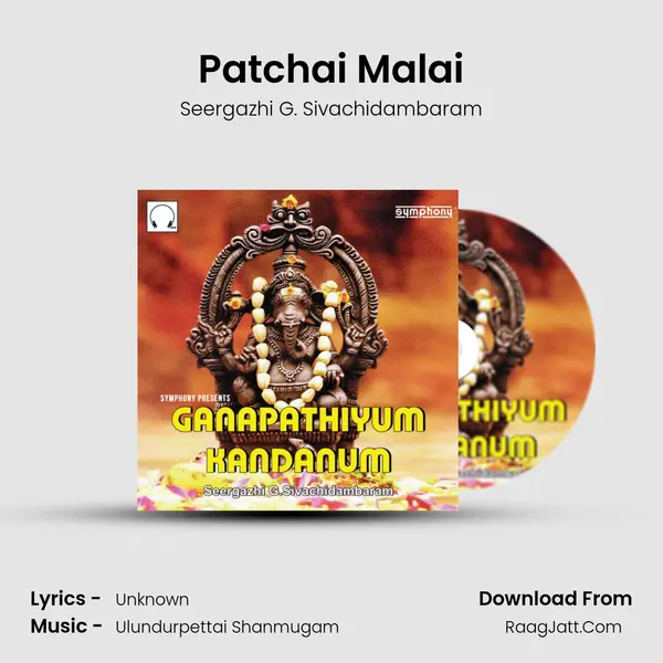 Patchai Malai MP3 Song by Seergazhi G. Sivachidambaram Cover