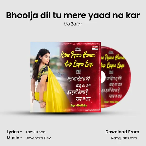Bhoolja dil tu mere yaad na kar MP3 Song by Mo Zafar Cover