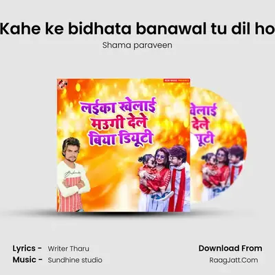 Kahe ke bidhata banawal tu dil ho MP3 Song by Shama paraveen Cover