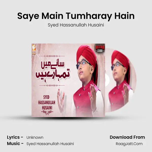 Saye Main Tumharay Hain - Single - Syed Hassanullah Husaini