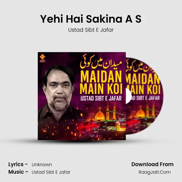 Ustad Sibt E Jafar