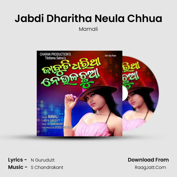 Jabdi Dharitha Neula Chhua MP3 Song by Mamali Cover