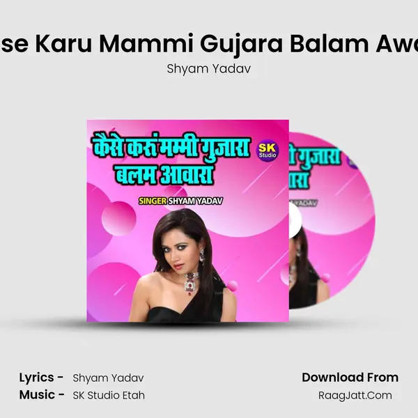 Kaise Karu Mammi Gujara Balam Awara mp3 song